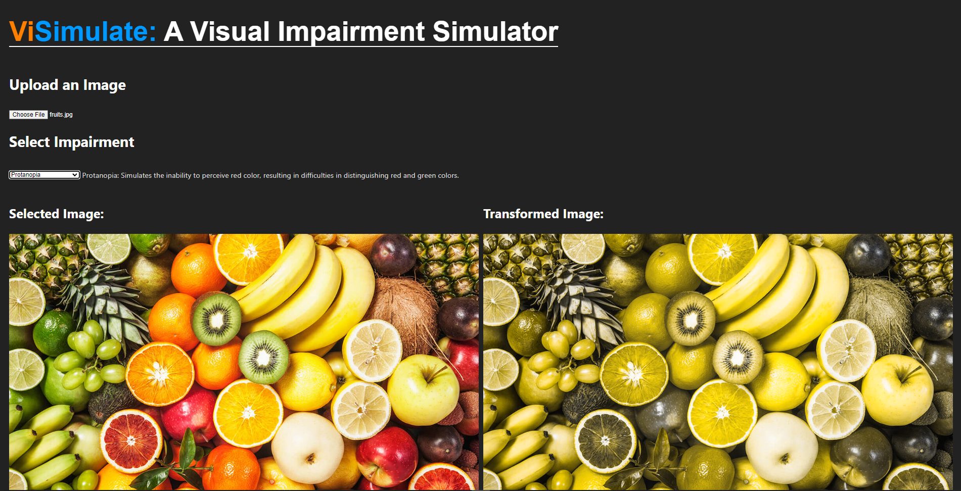 Screenshot of Visimulate project